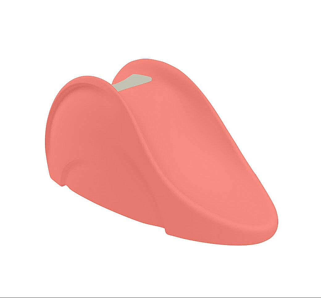 Signature Slide